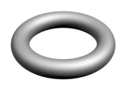 Runder O-Ring in grauer Farbe, hergestellt von Bosch, mit glatter Oberfläche und hohlem Innenraum, geeignet für Abdichtungsanwendungen.